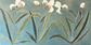 Lily Fleurs
